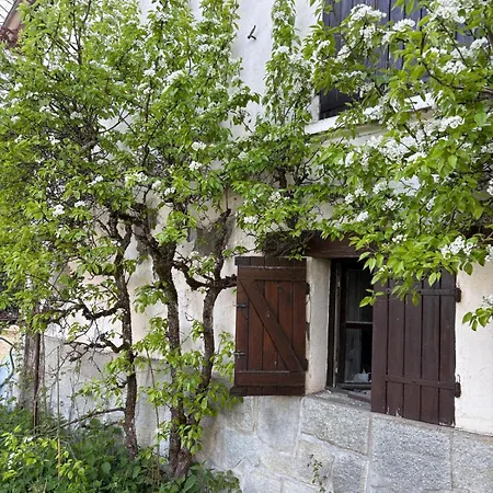 Chalet La Maison Du