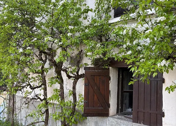 Chalé La Maison Du